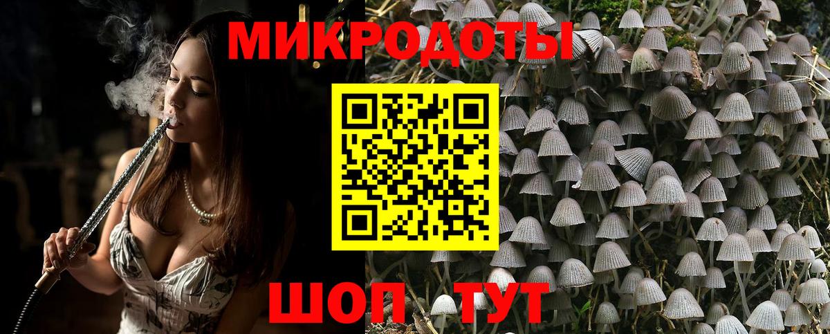 Псилоцибиновые грибы мухоморы Томск